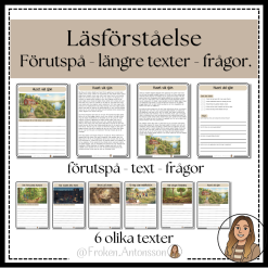 LÄSFÖRSTÅELSE - längre texter.
