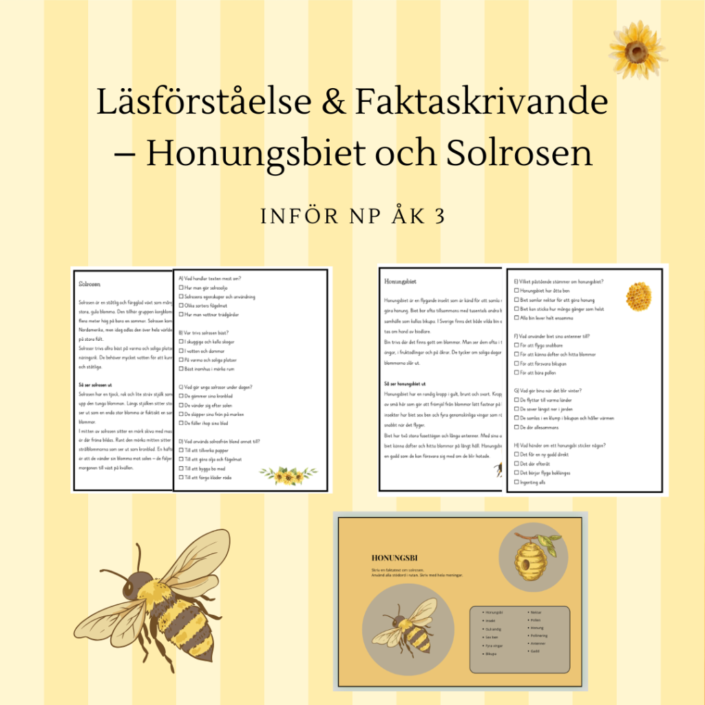Läsförståelse & Faktaskrivande – Honungsbiet och Solrosen