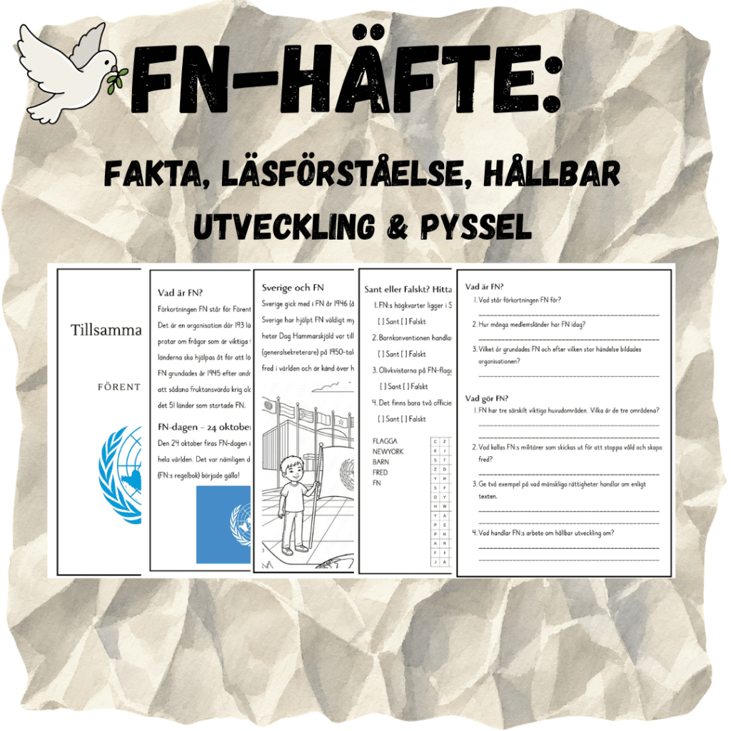 FN-häfte: Fakta, Läsförståelse, Hållbar utveckling & Pyssel