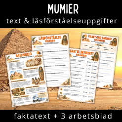 Läsförståelse om mumier