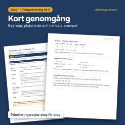 Taluppfattning och de fyra räknesätten åk 6 – övningar, felanalys och facit