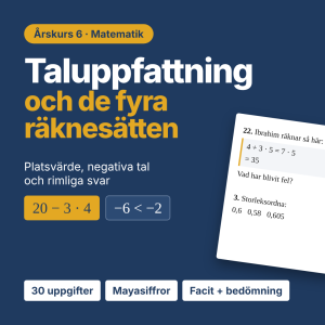 Taluppfattning och de fyra räknesätten åk 6 – övningar, felanalys och facit