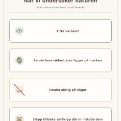 Stort paket för en naturlåda!
