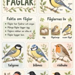Fåglar, nyckelpiga och jordgubbe!