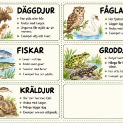 Djurgrupper!