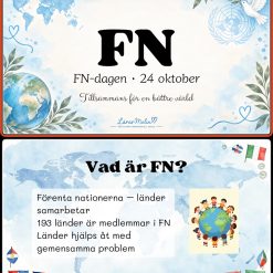 FN presentation