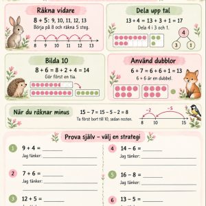 Strategier i matematik!