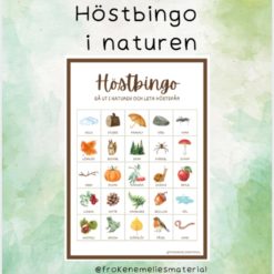 Höstbingo