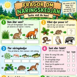 Vad är en näringskedja?