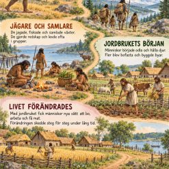 Människans uppkomst!