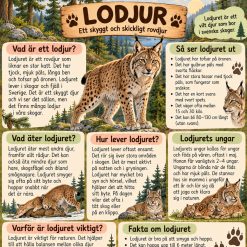 Läsförståelse och faktatext om 5 vanliga däggdjur i Sverige