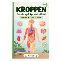 Kroppen åk 5 – instuderingsfrågor med bildstöd, begrepp, prov & facit