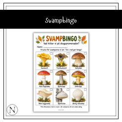 Svampbingo